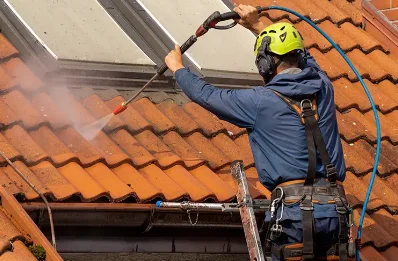 Démoussage et hydrofuge de toiture à Doizieux